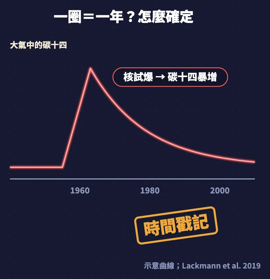 示意曲線:大氣中的碳十四在核試爆後暴增,1960 年代達到高峰後慢慢下降,成為耳石上的時間戳記