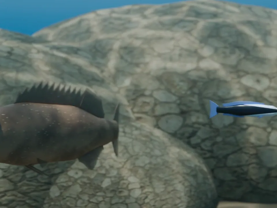 3D 示意：被偷咬的大魚轉身，裂唇魚快速游開