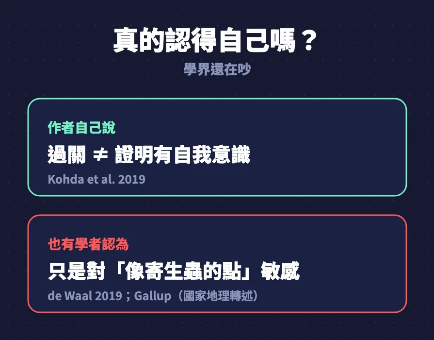 圖卡：作者自己說過關不等於證明有自我意識；也有學者認為只是對像寄生蟲的點敏感