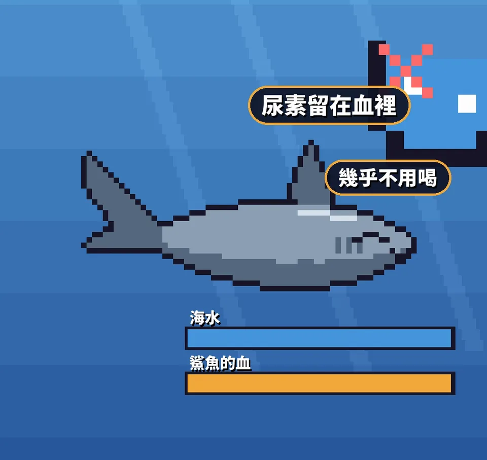 像素示意：鯊魚把尿素留在血裡，血跟海水差不多鹹，幾乎不用喝