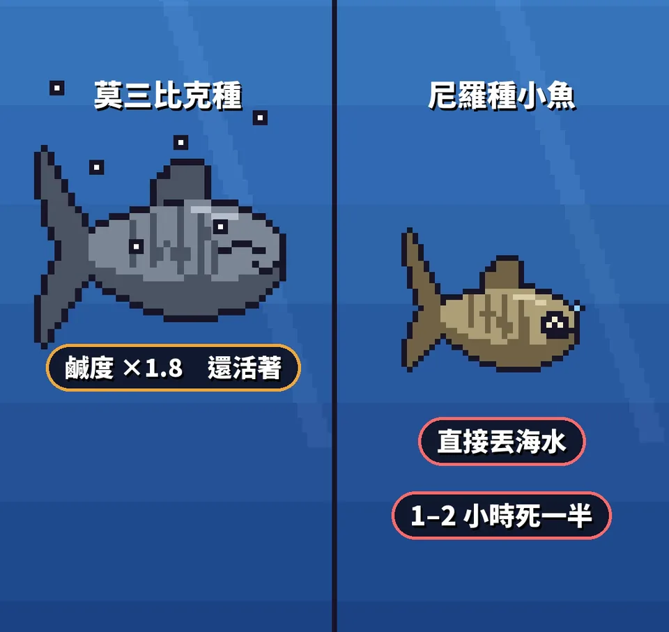 像素示意：莫三比克種鹹度乘 1.8 還活著；尼羅種小魚直接丟海水，1 到 2 小時死一半
