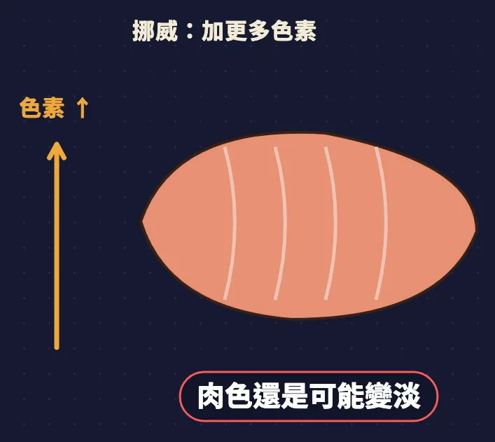 鮭魚肉色色素示意