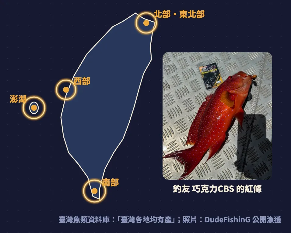 台灣示意地圖標出北部、東北部、西部、南部、澎湖，旁邊是釣友巧克力CBS釣到的紅條照片