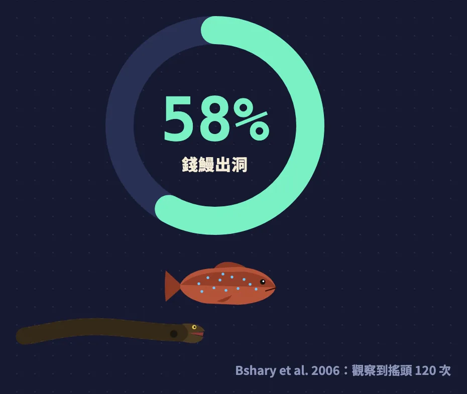 圓環圖：石斑搖頭後 58% 錢鰻出洞，觀察到搖頭 120 次
