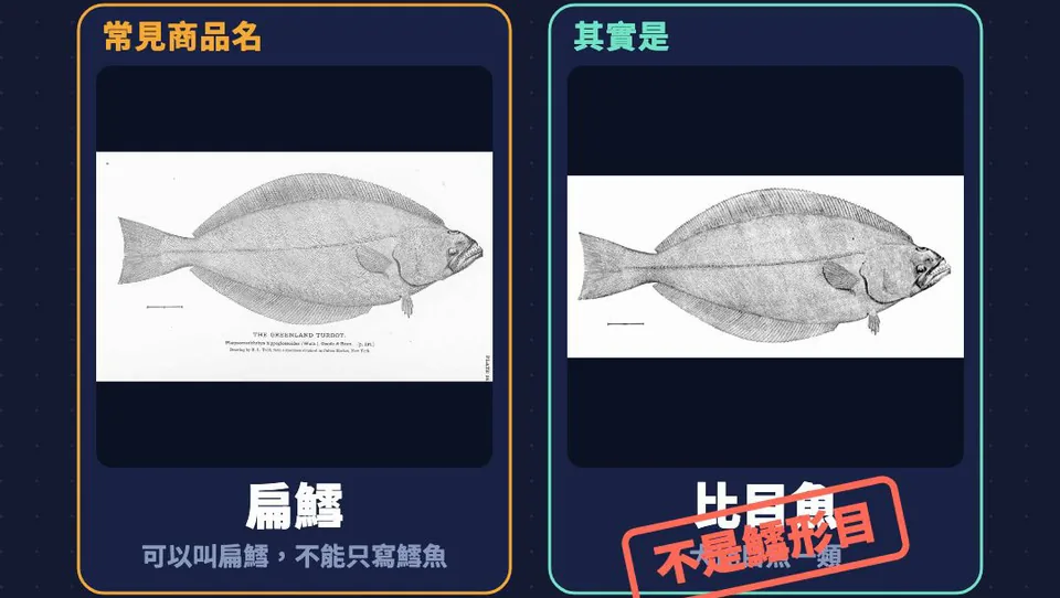 身分證卡：常見商品名扁鱈，可以叫扁鱈不能只寫鱈魚；其實是比目魚，蓋上不是鱈形目紅章