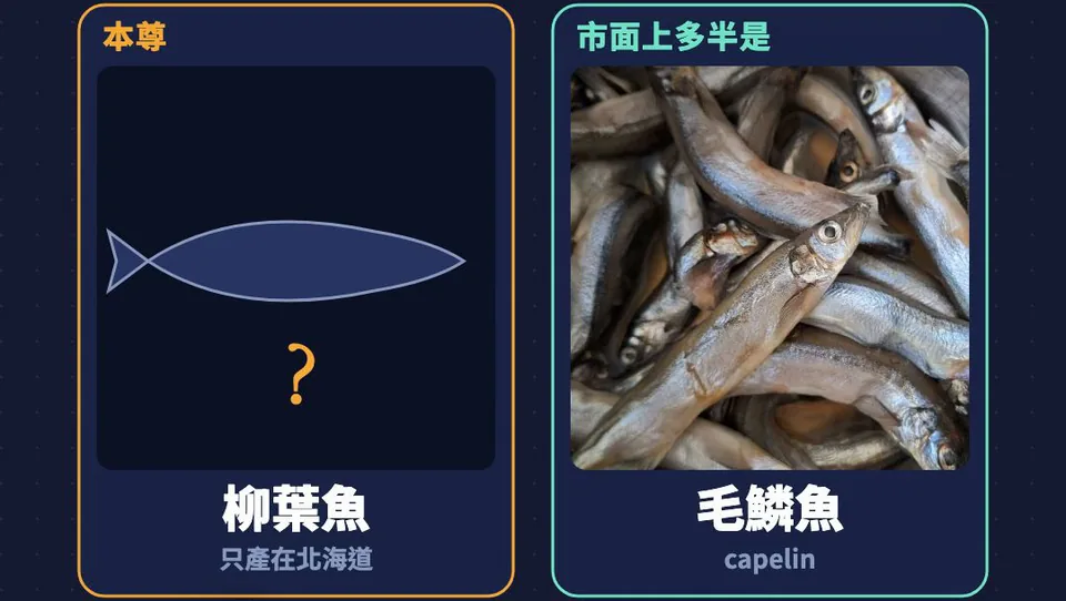 身分證卡：本尊柳葉魚只產在北海道；市面上多半是毛鱗魚 capelin