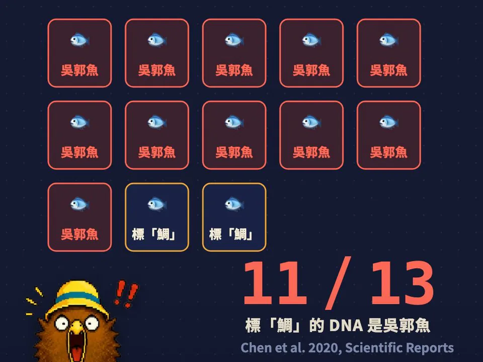13 格中 11 格是吳郭魚：標「鯛」的 DNA 是吳郭魚，11/13