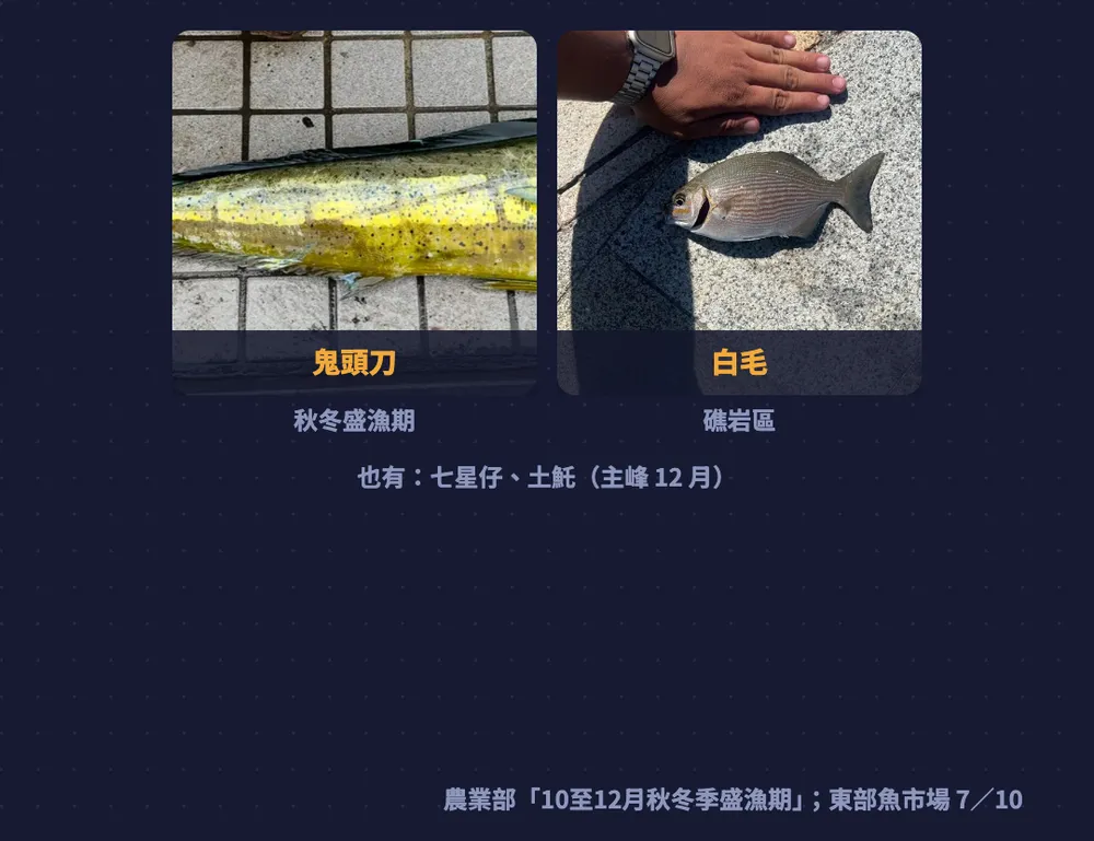 東部圖卡：鬼頭刀秋冬盛漁期、礁岩區白毛；也有七星仔、土魠（主峰 12 月）