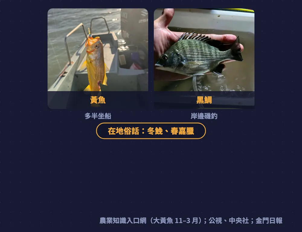 金門圖卡：黃魚多半坐船、黑鯛岸邊磯釣，在地俗話冬鮸、春嘉臘