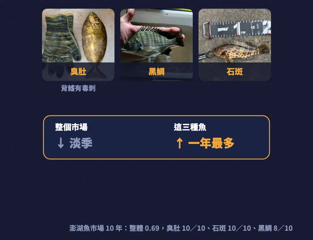 澎湖圖卡：整個市場淡季，臭肚、黑鯛、石斑一年最多；澎湖魚市場 10 年整體 0.69，臭肚 10/10、石斑 10/10、黑鯛 8/10