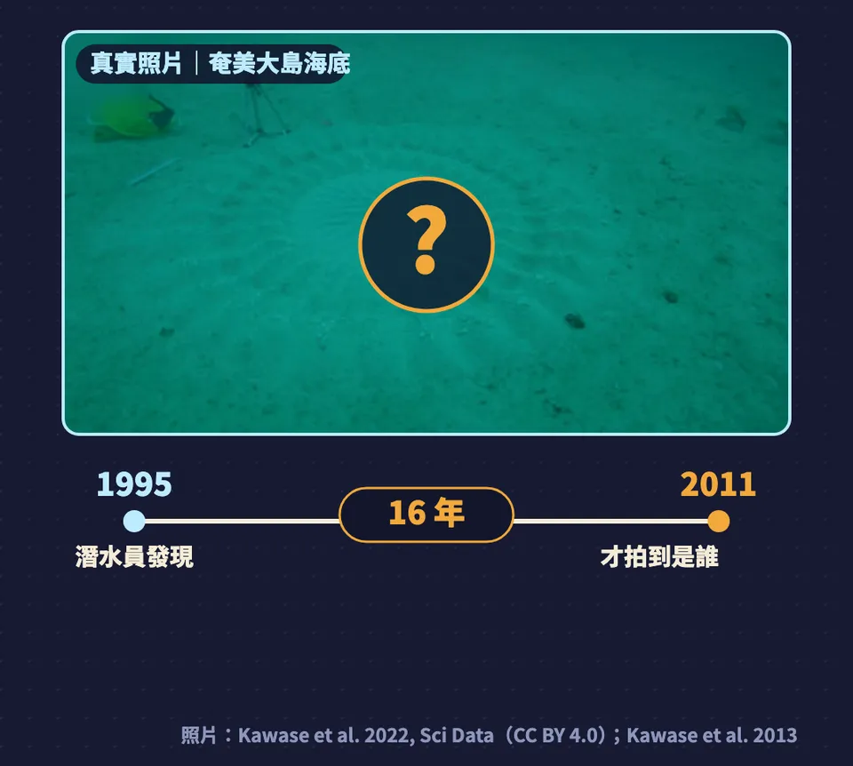 圖卡:奄美大島海底神秘圓圈的真實照片,加上 1995 年潛水員發現、2011 年才拍到的時間軸,中間隔了 16 年