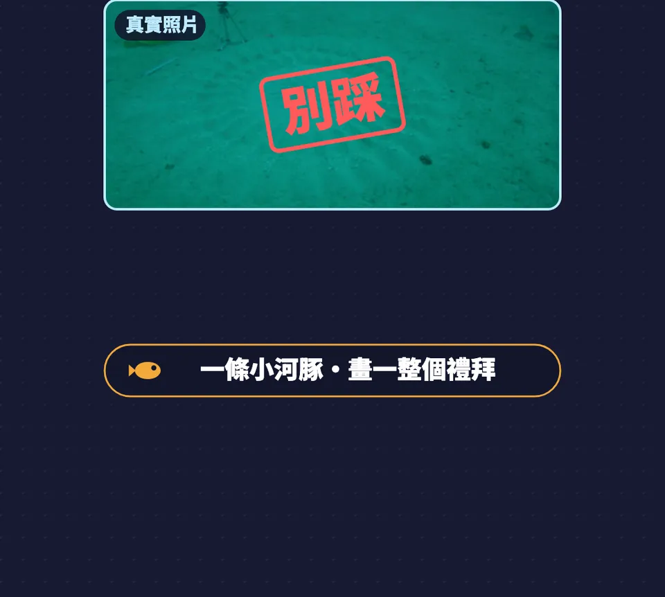 圖卡:神秘圓圈真實照片蓋上「別踩」,一條小河豚、畫一整個禮拜