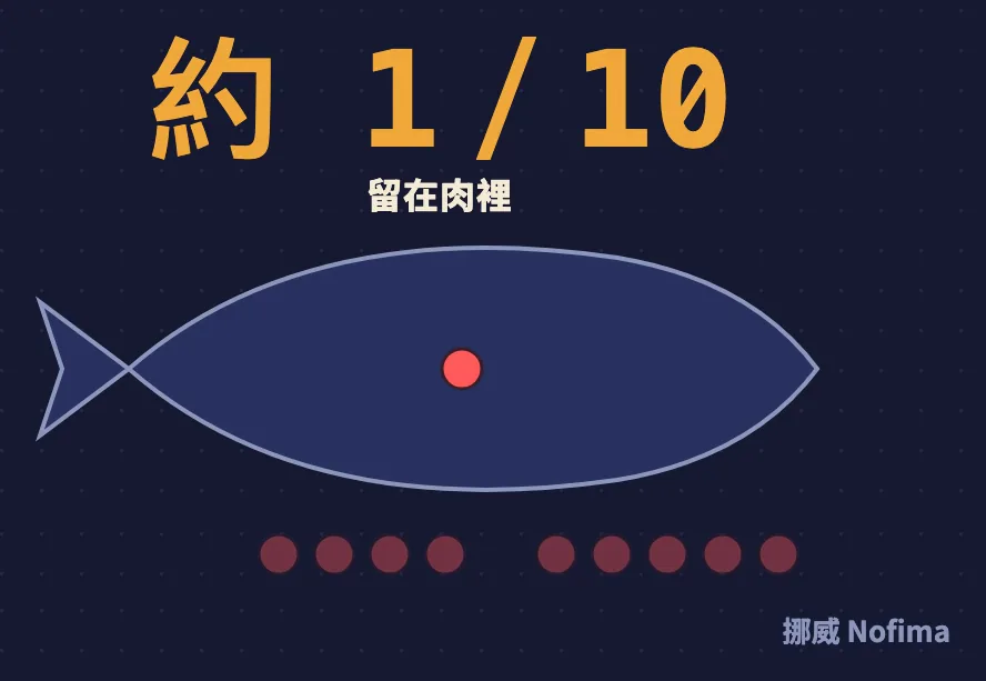 約 1/10 留在肉裡：十顆色素點只有一顆進到魚肉