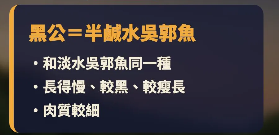 黑公=半鹹水吳郭魚:和淡水吳郭魚同一種,長得慢、較黑、較瘦長,肉質較細
