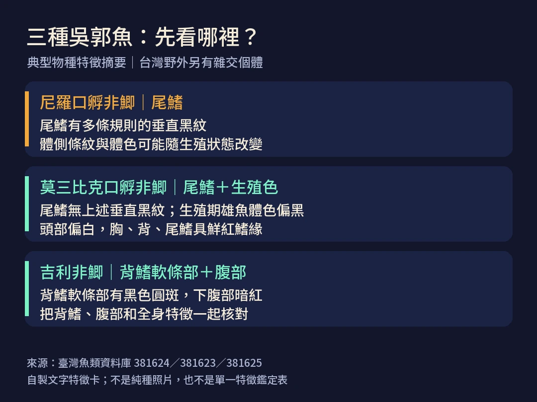 吳郭魚辨識特徵與證據圖解