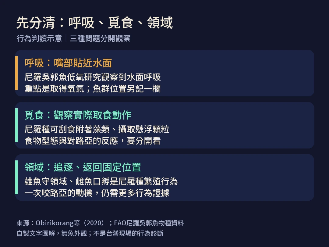 水面吳郭魚的行為觀察圖解