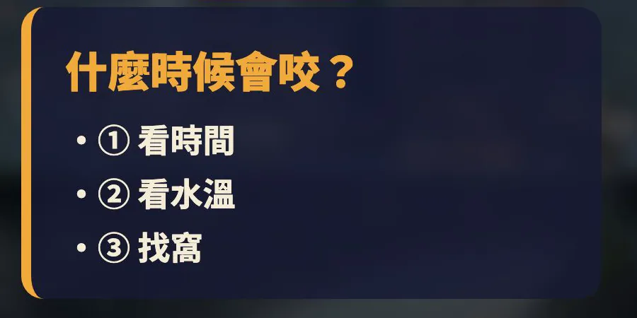 什麼時候會咬？① 看時間 ② 看水溫 ③ 找窩