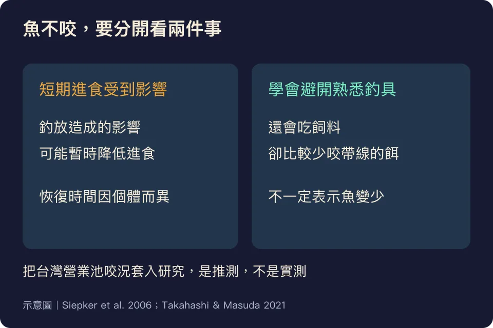 台灣營業池不咬的兩種可能解釋:短期進食受影響與避開熟悉釣具,不能直接推論魚變少