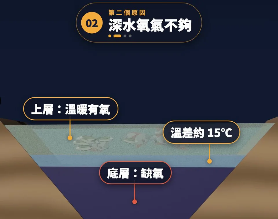 3D 示意：水庫剖面，上層標「溫暖有氧」、中間標「溫差約 15℃」、底層標「缺氧」