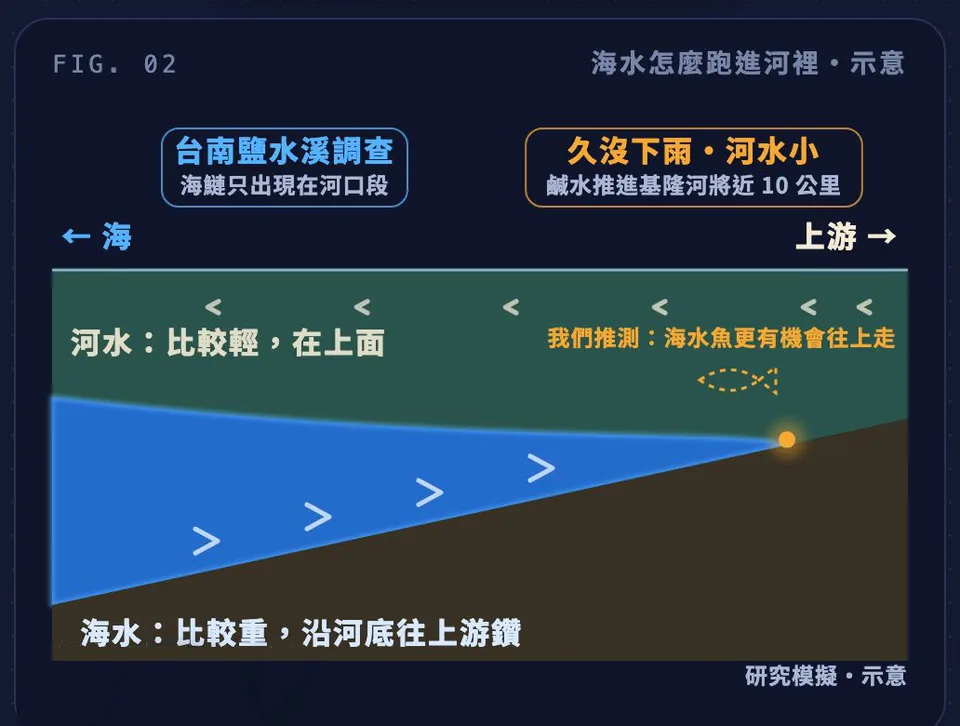 圖解 FIG.02 海水怎麼跑進河裡：河水較輕在上、海水較重沿河底往上游鑽，標註台南鹽水溪調查與久沒下雨時鹹水推進基隆河將近 10 公里