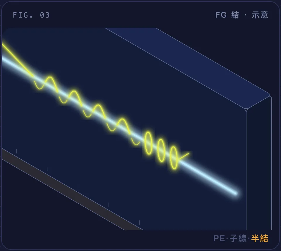 FG 結：PE 交替編在子線上，尾端半結收尾的示意