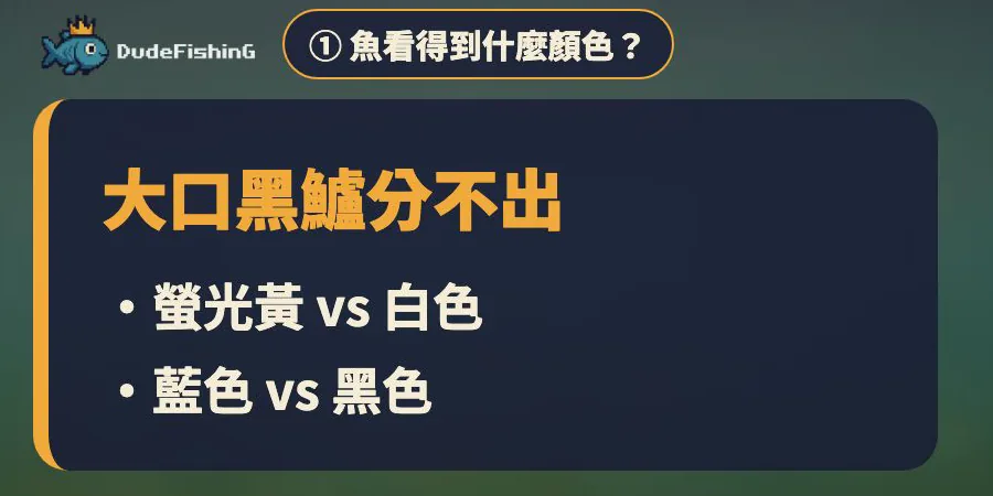 大口黑鱸分不出：螢光黃 vs 白色、藍色 vs 黑色