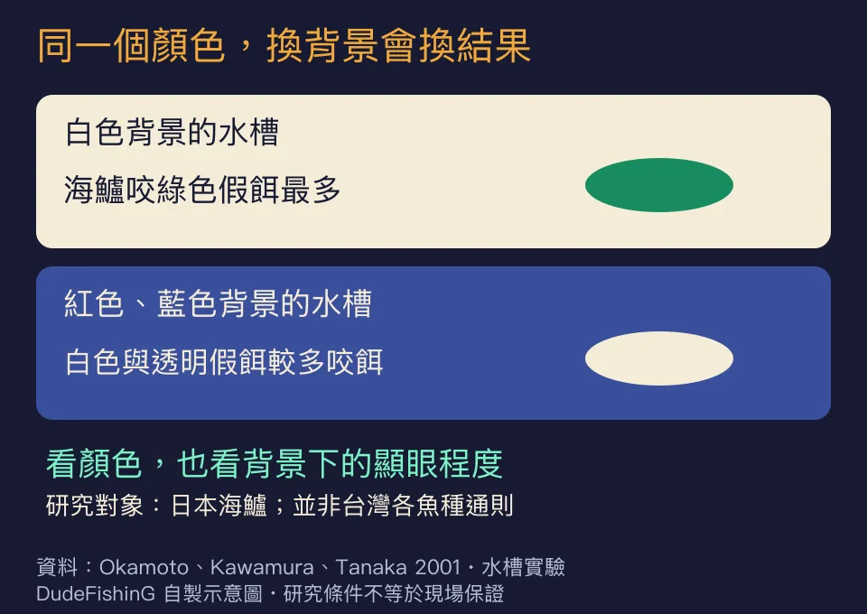 海鱸水槽：白色背景咬綠色最多，紅、藍背景白色與透明較多