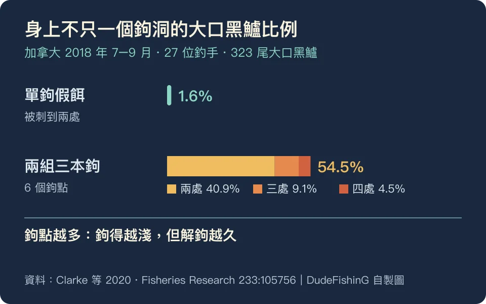 單鉤假餌 1.6% 被刺到兩處，兩組三本鉤 54.5% 不只一個鉤洞