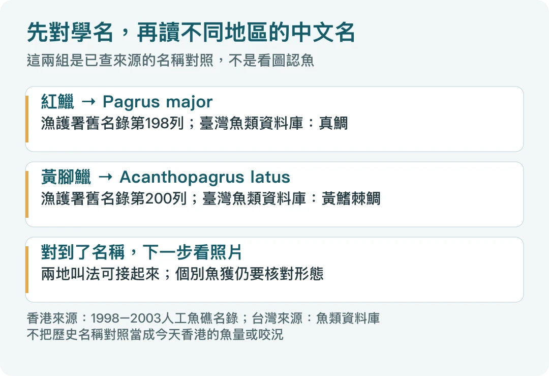 香港紅鱲與台灣真鯛對應Pagrus major，黃腳鱲與黃鰭棘鯛對應Acanthopagrus latus