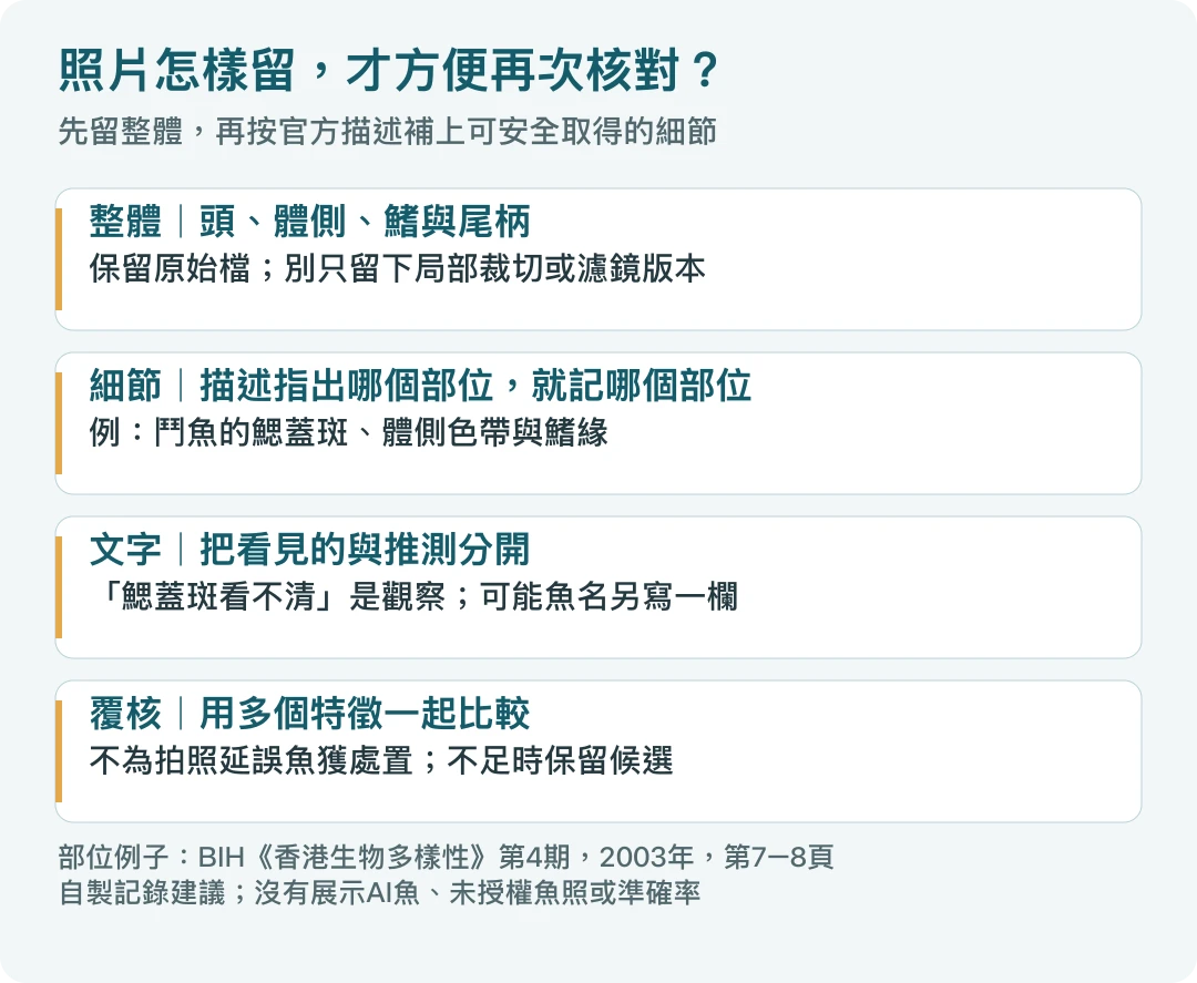 辨魚照片流程：保留完整側面、補鰓蓋斑與鰭緣等細節、觀察與推測分欄、用多特徵覆核