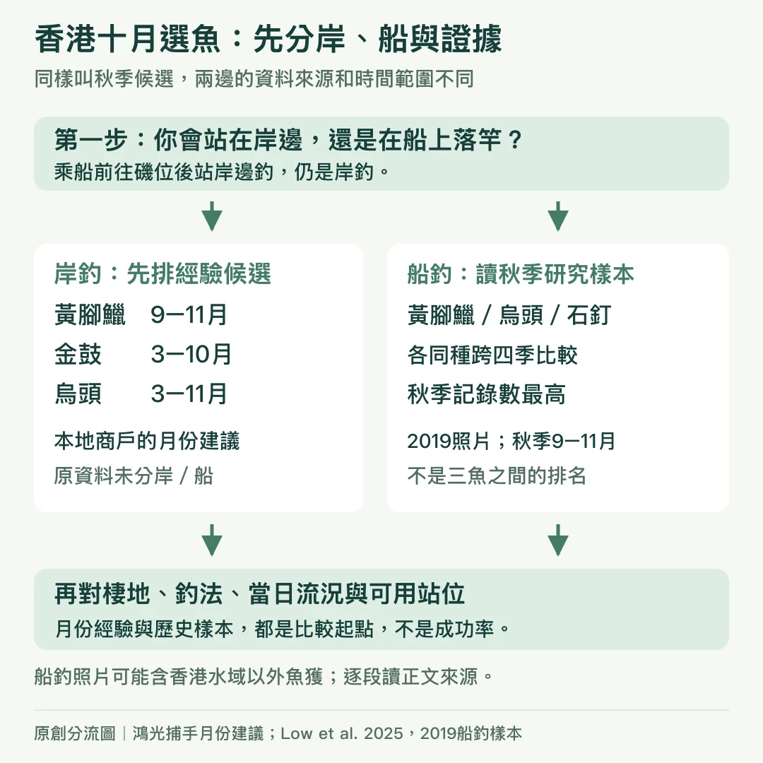 岸船分流:黃腳鱲金鼓烏頭用商戶月份經驗排候選;黃腳鱲烏頭石釘在2019船釣樣本各同種秋季最高,並非三魚排名