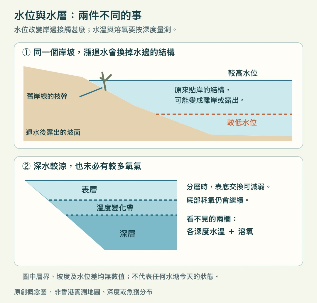 岸坡在高低水位下的結構變化，以及分層水體表層與深層的概念剖面
