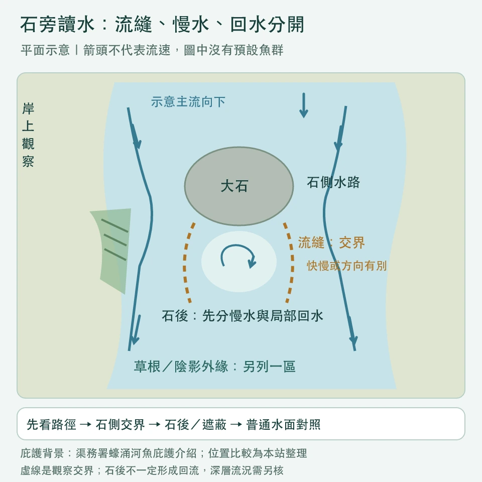 向下流的溪段平面示意：大石兩側主流、虛線流縫、石後可能慢水或回水，岸邊陰影與草根外緣；箭頭只表示示意流向