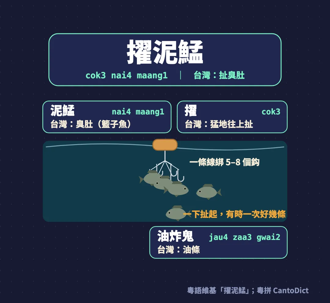 chok泥鯭圖解：一條魚絲綁五至八個鈎，上方綁一塊油條，泥鯭群圍上來時一下扯起；附擢、泥鯭、油炸鬼的粵拼與台灣說法