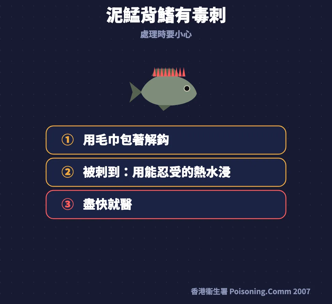 泥鯭毒刺安全卡：背鰭紅色毒刺示意，三步驟為用毛巾包着解鈎、被刺到用能忍受的熱水浸、盡快就醫