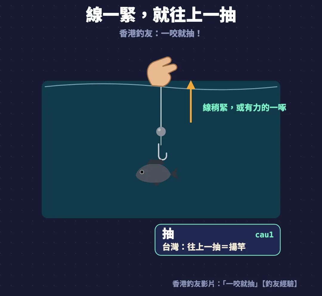 抽魚圖解：魚咬餌令魚絲稍緊，手往上一抽把鈎刺穩，標註抽的粵拼cau1與香港釣友說法一咬就抽