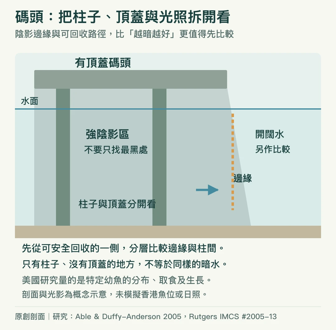 碼頭剖面概念圖:頂蓋下強陰影區、支柱、陰影邊緣與外側開闊水分開,先比較可回收的邊緣