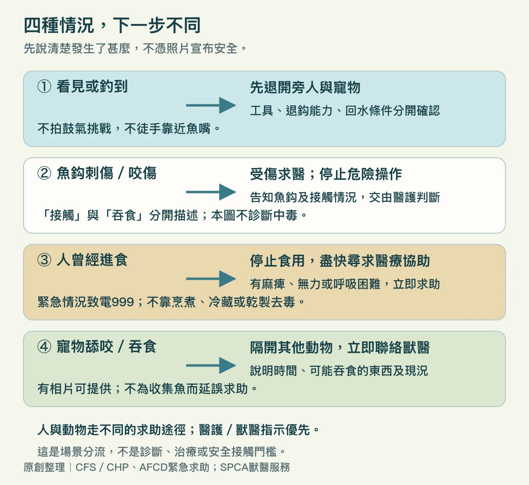 看見或釣到、魚鈎咬傷、人進食及寵物舔咬四種情況的求助分流圖