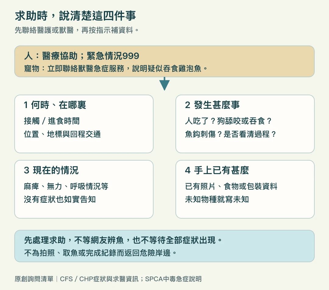 向醫護或獸醫求助時的四欄資料：何時何地、發生甚麼、目前情況及已有照片資料