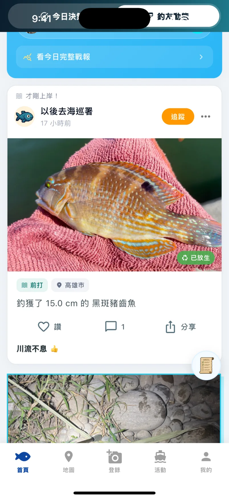 塗鴉牆漁獲貼文：黑斑豬齒魚照片、已放生標籤、前打釣法與讚留言分享列