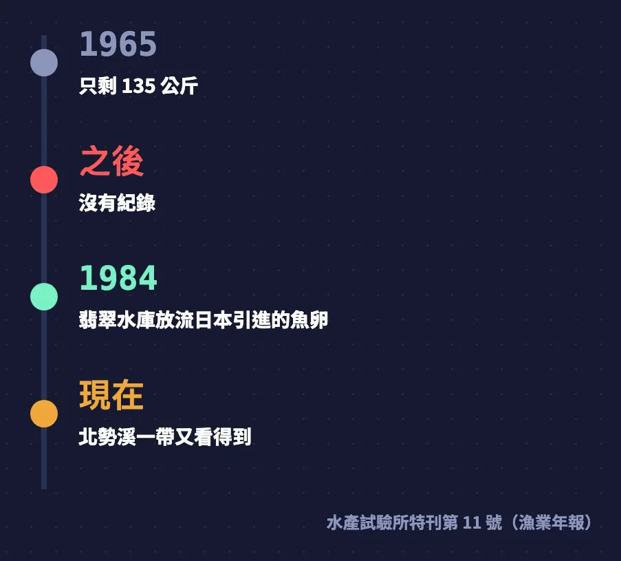 台灣香魚時間軸：1965 年只剩 135 公斤、之後沒有紀錄、1984 年翡翠水庫放流日本引進的魚卵、現在北勢溪一帶又看得到