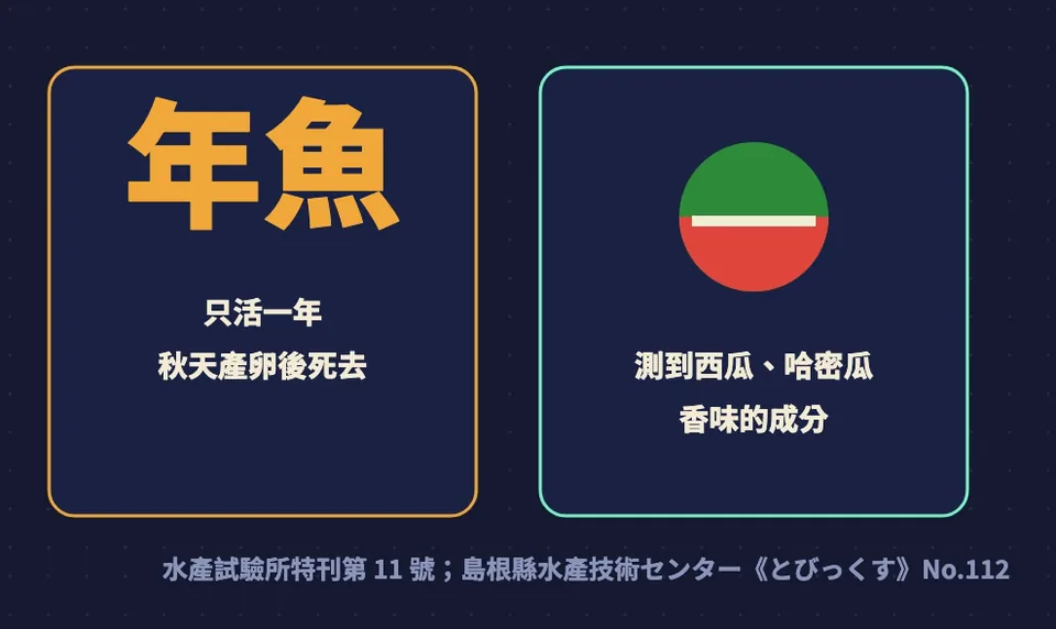 香魚又叫年魚，只活一年、秋天產卵後死去；日本研究在香魚身上測到西瓜和哈密瓜香味的成分