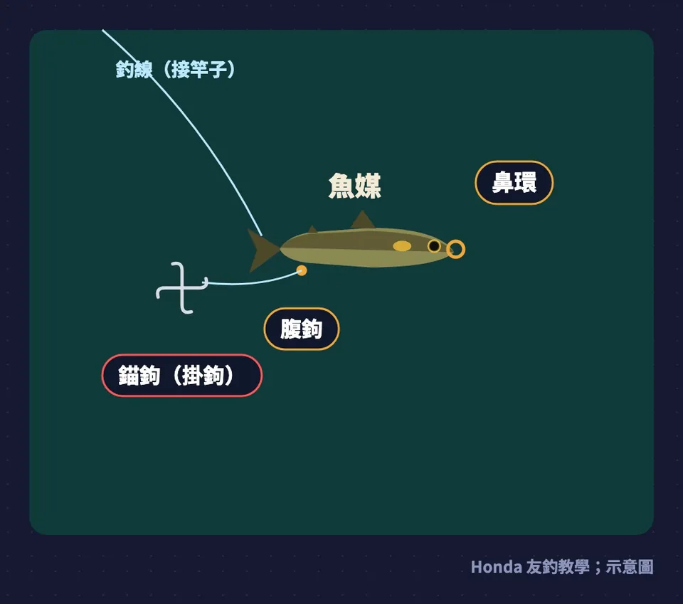 友釣仕掛示意圖：釣線接到魚媒的鼻環，腹鉤固定在魚媒尾部，後面拖著錨鉤