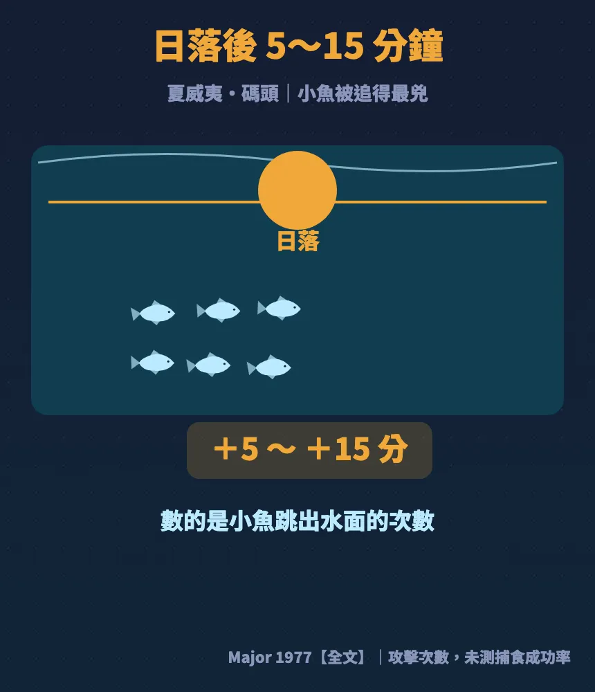 夏威夷碼頭研究:小魚被追得跳出水面的次數,日落後5到15分鐘最多