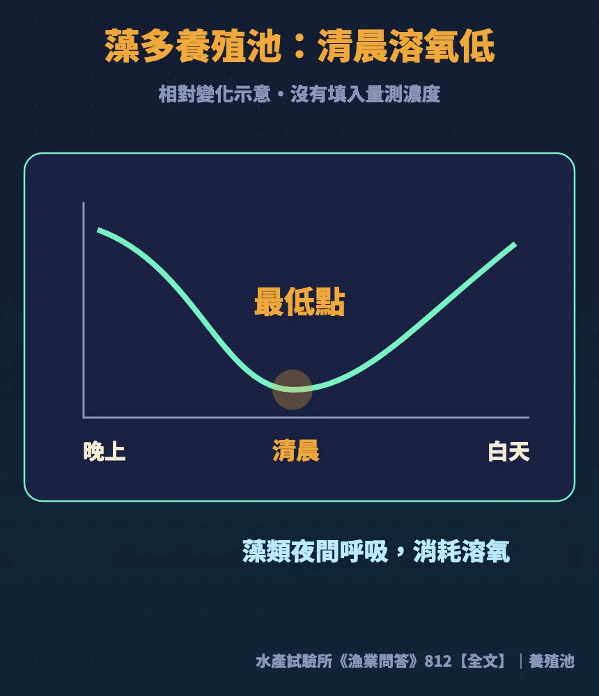 藻多養殖池溶氧一天的變化:藻類夜間呼吸消耗溶氧,清晨降到最低點