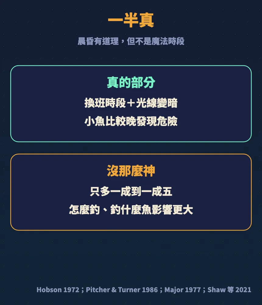 結論一半真:真的部分是換班時段加光線變暗,沒那麼神的部分是只多一成到一成五、怎麼釣影響更大