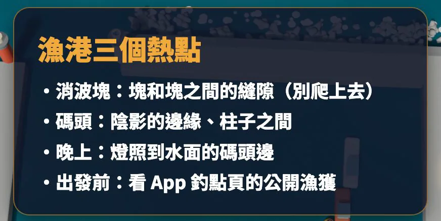 影片圖卡:漁港三個熱點,消波塊縫隙、碼頭陰影邊緣與柱子之間、燈照到水面的碼頭邊,出發前看App釣點頁公開漁獲