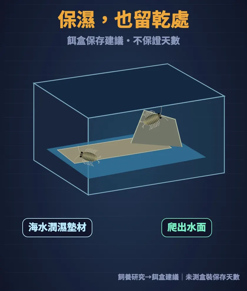 餌盒保存建議：海水潤濕墊材，留可以爬出水面的乾處，不保證天數
