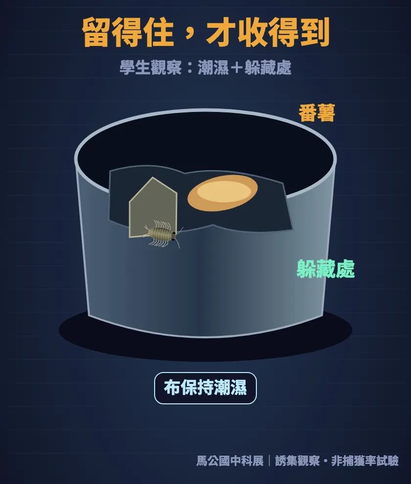 留得住才收得到：布保持潮濕，罐裡放躲藏處