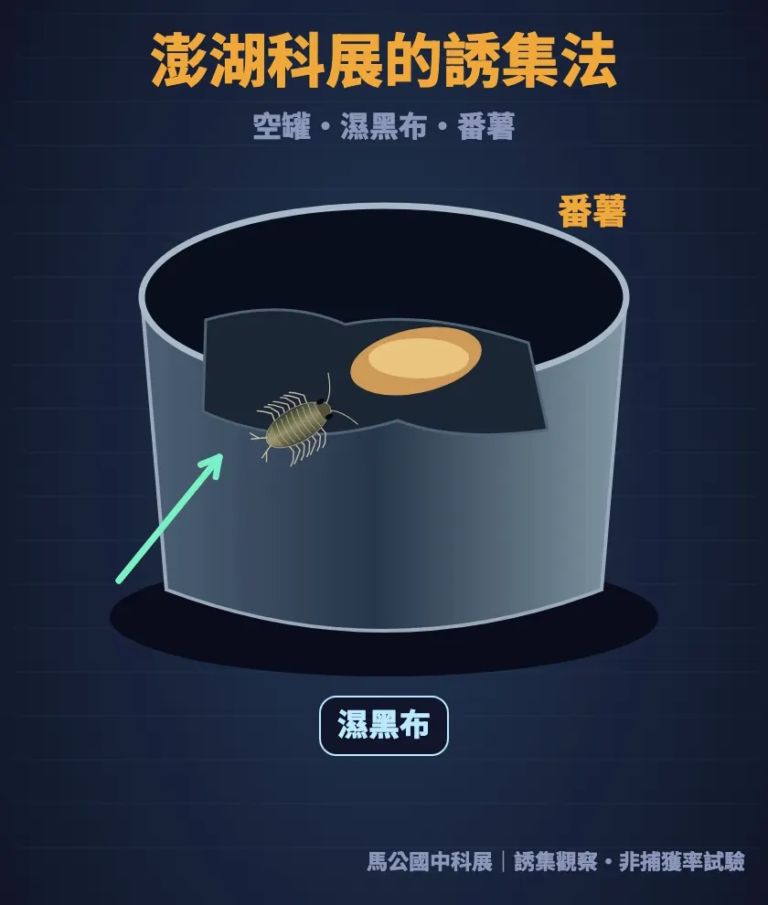 澎湖科展的誘集法：空罐、濕黑布和番薯